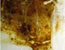 EL TORO - Detail